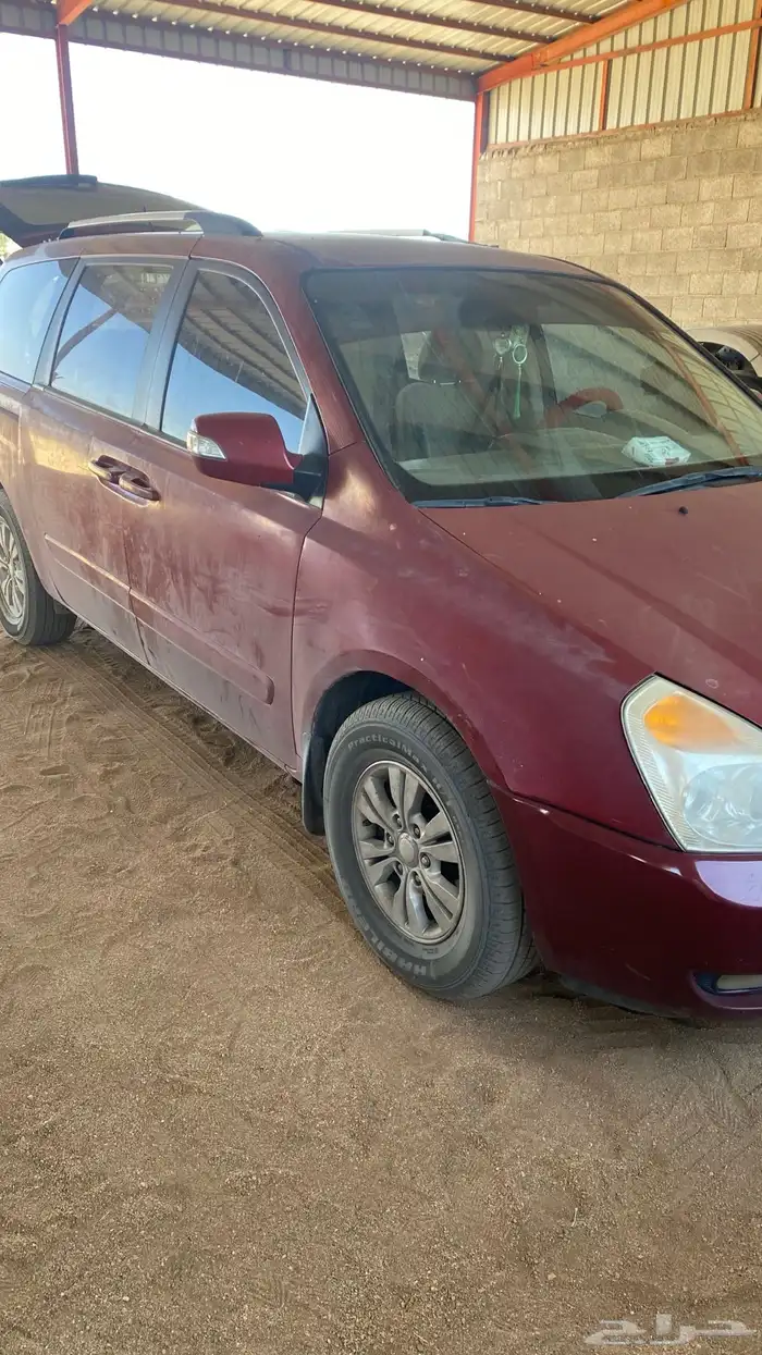 كرنفال 2013 للبيع 0