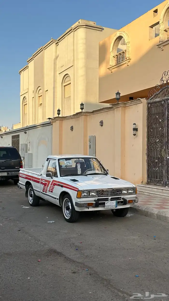 ددسن 83 مجدد مفحوص 7