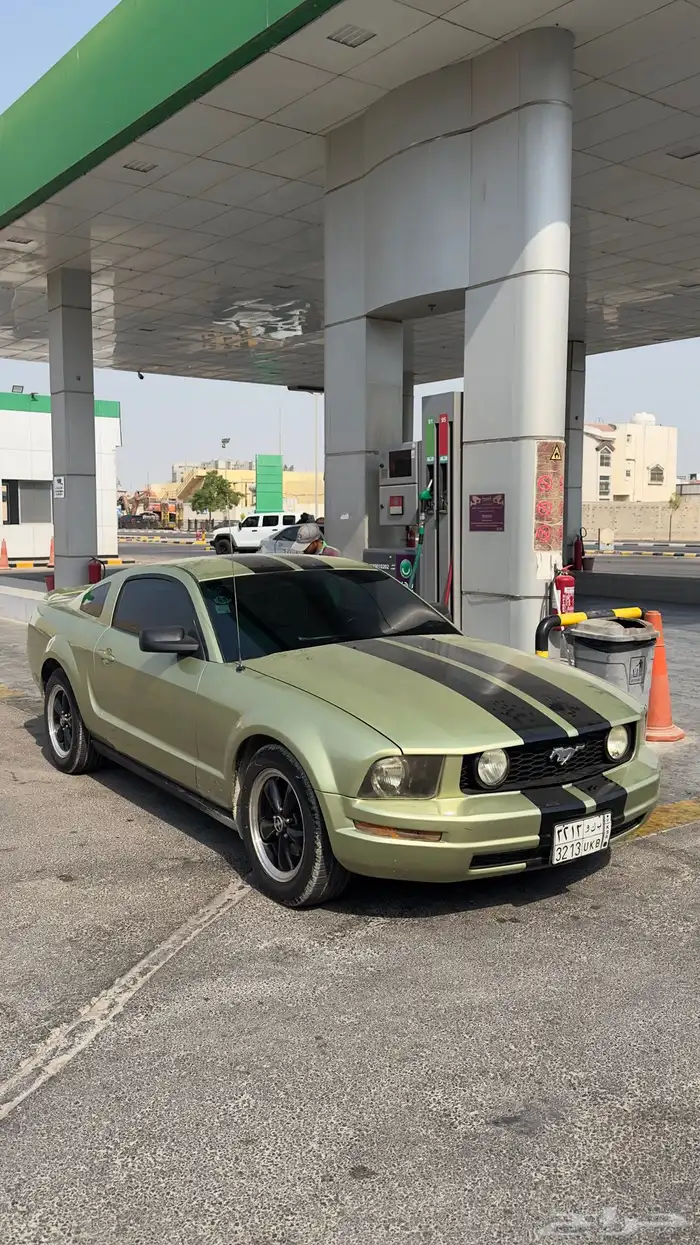 موستنج قمة بالنظافة 1