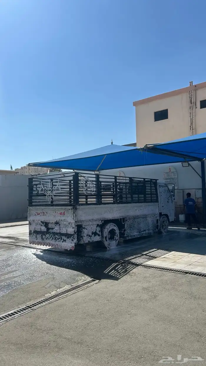 دينا نقل خاص 2005 0