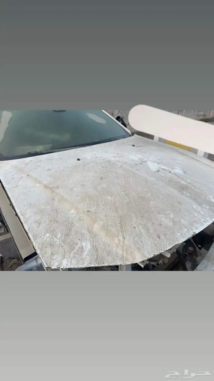 كبوت كليزلر للبيع 1