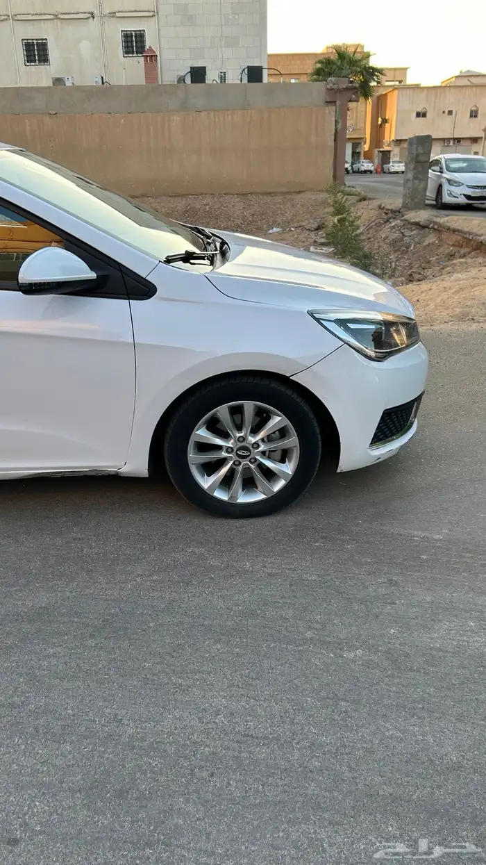 شيري اريزو 5 0