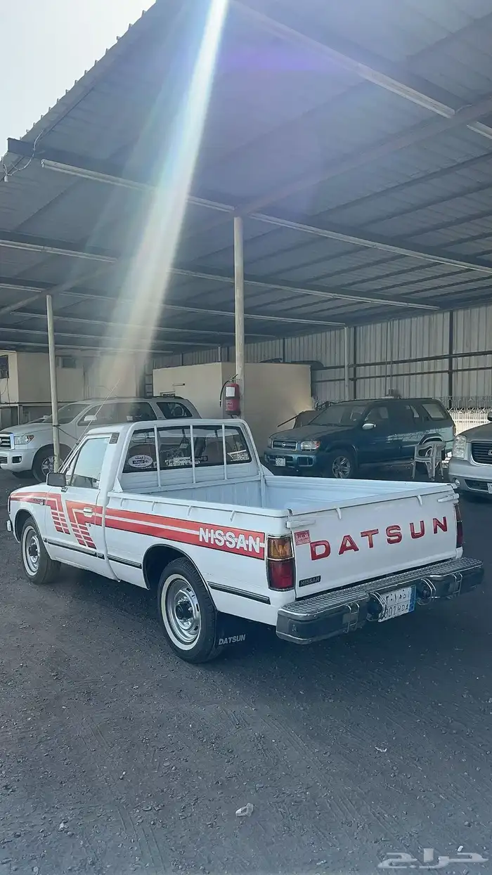 ددسن 83 مجدد مفحوص 5