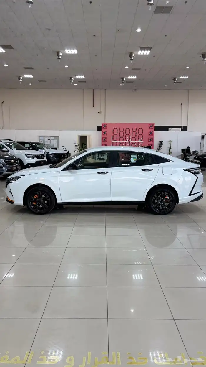 دونج فينج شاين 2026 باقل سعر 17