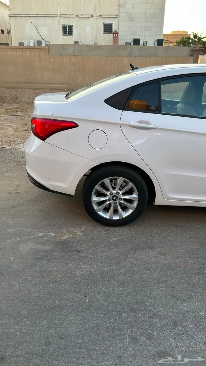 شيري اريزو 5 1