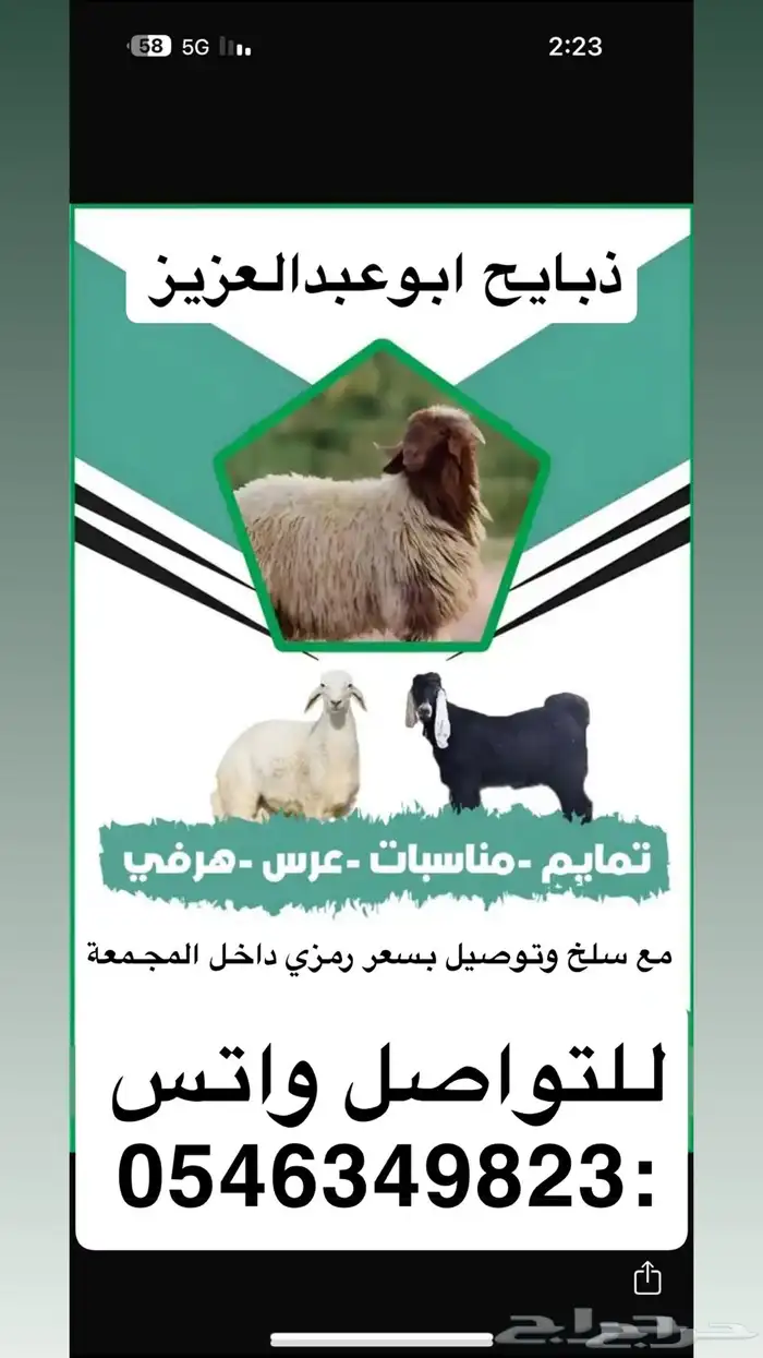 ذبايح للبيع مع خدمة الذبح والتوصيل 0