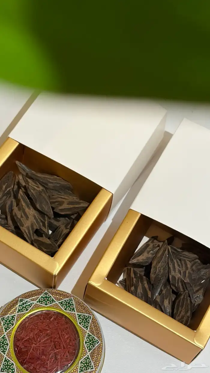 عود تايقر فيتنامي 2