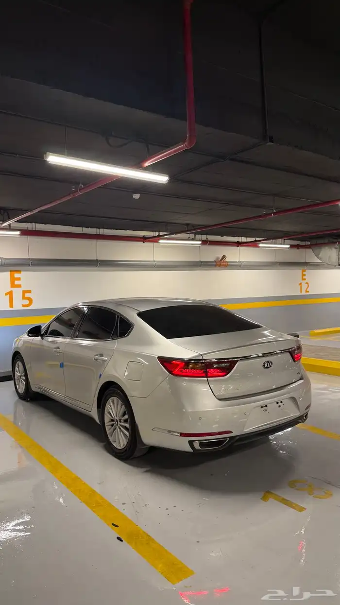 كادينزا 17 12