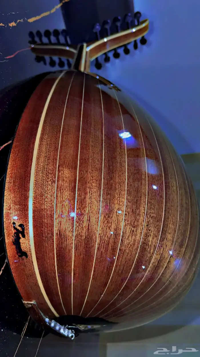 عود عراقي نوع زرياب الاصدار رقم 3 2
