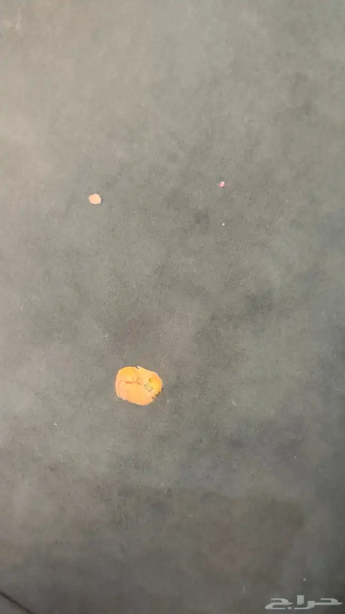 كنب ظهور وسفنجات تحت 3