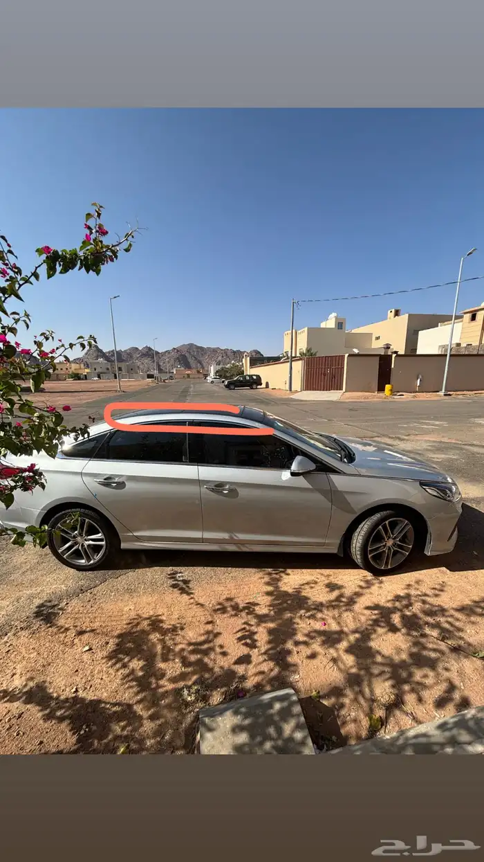 سوناتا 2019 12