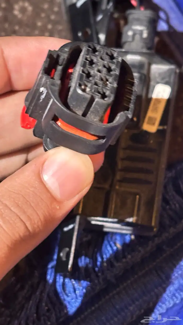 انوار حوض سيرا 4