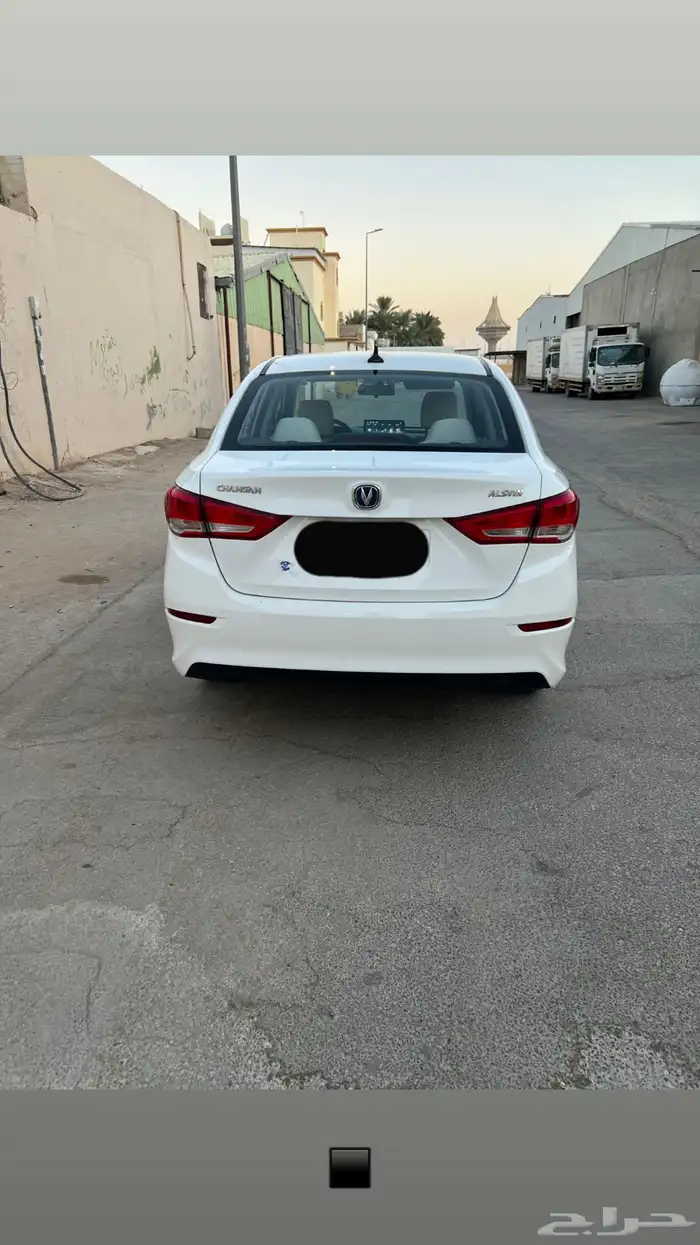 شانجان السفن 2024 1