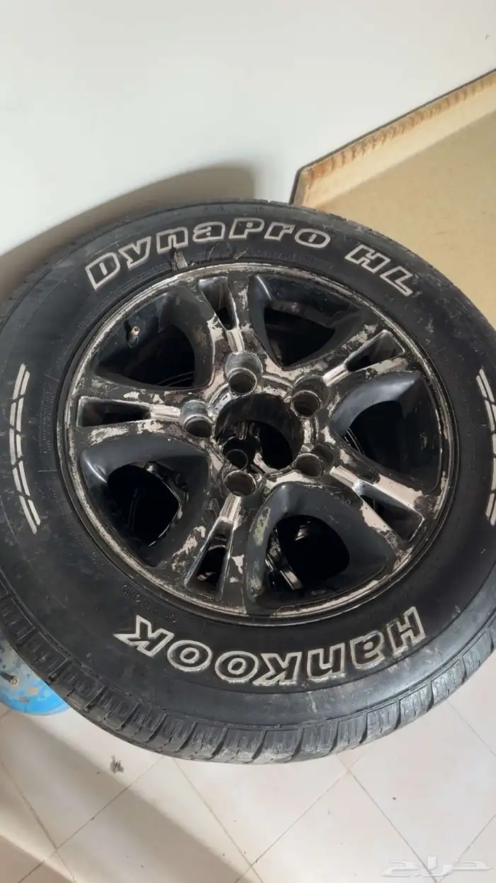 جنوط فراشه للبيع 0