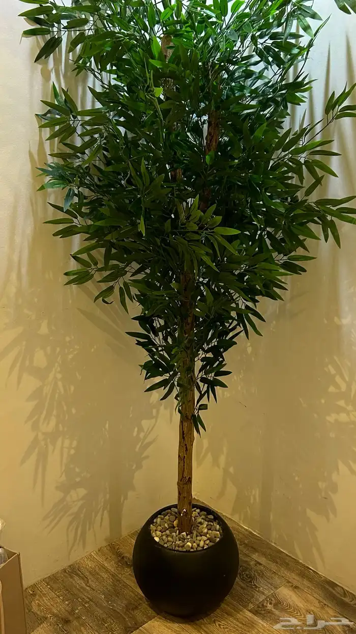 شجر صناعي بجذع طبيعي 1