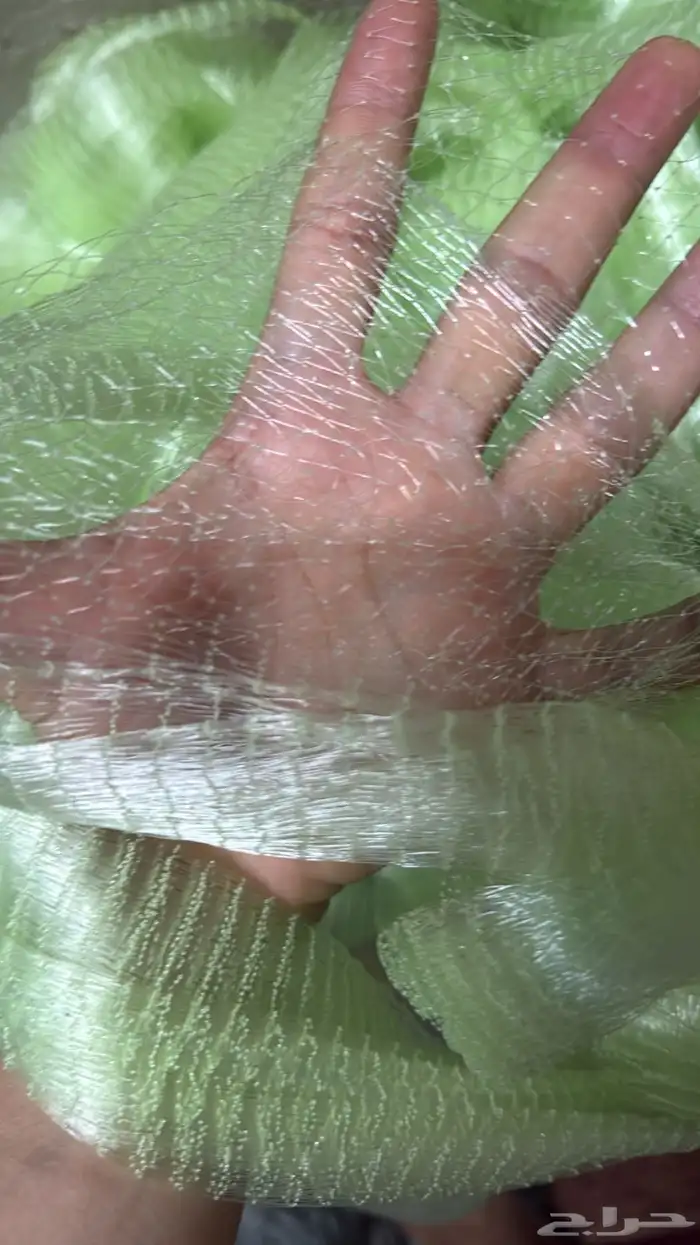 مخادج حق بحر 2