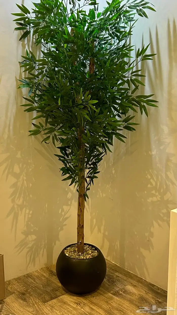 شجر صناعي بجذع طبيعي 2