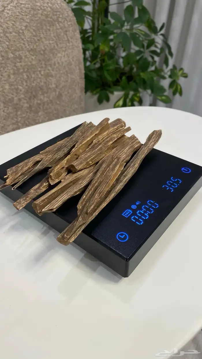 ( عود طبيعي و محسن ) 9