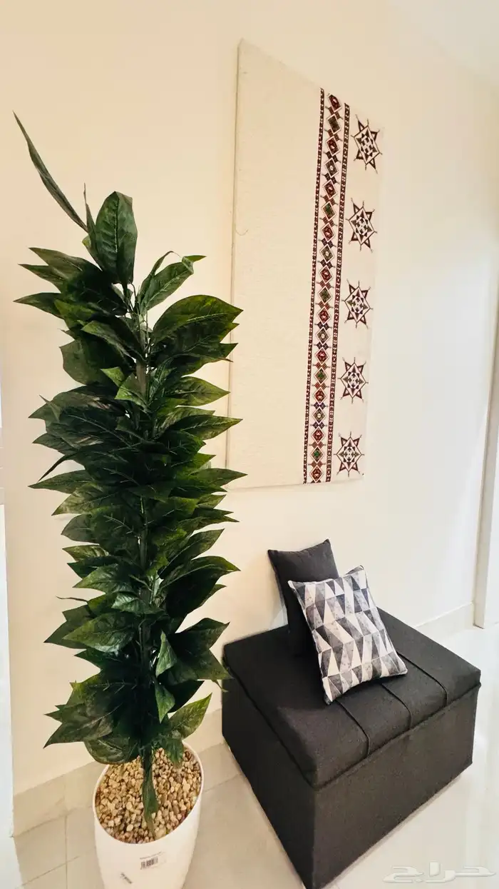 سدو للايجار 1