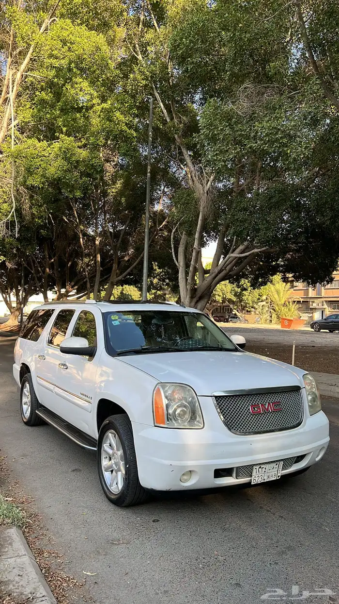 دينالي فل كامل 2