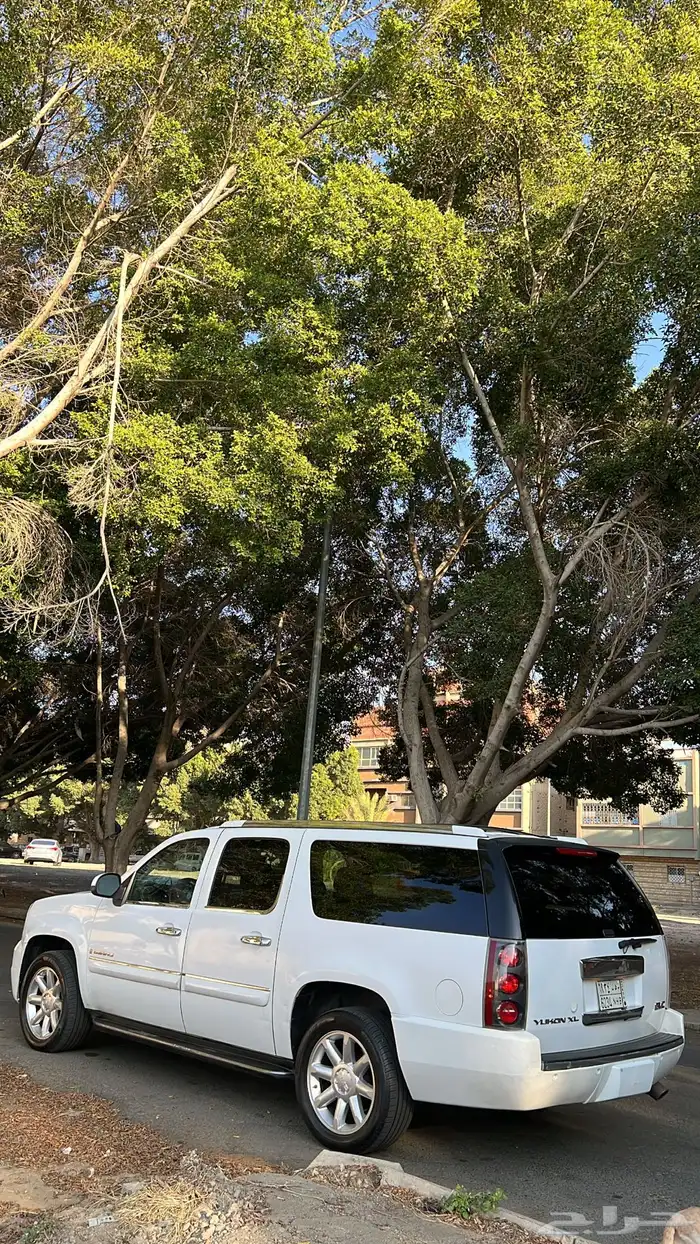 دينالي فل كامل 8