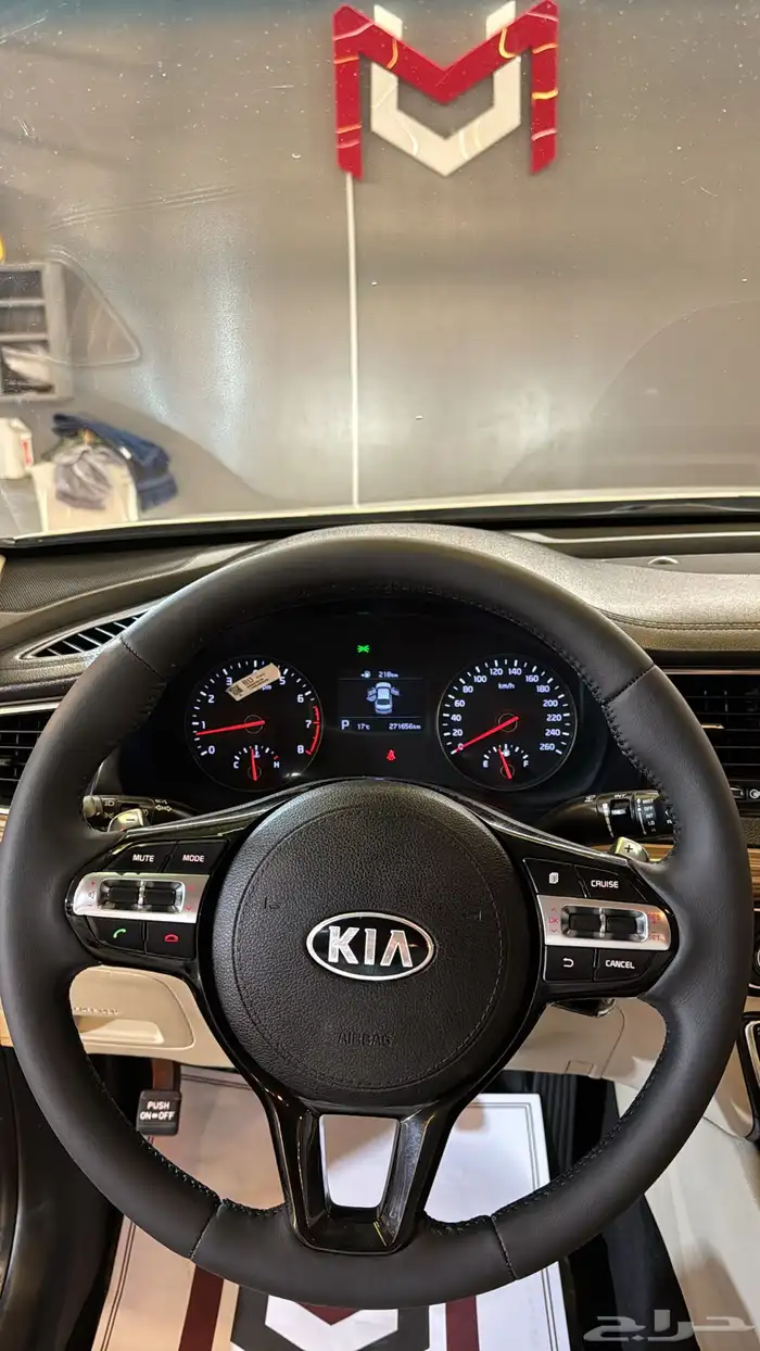 كادينزا فضي 11