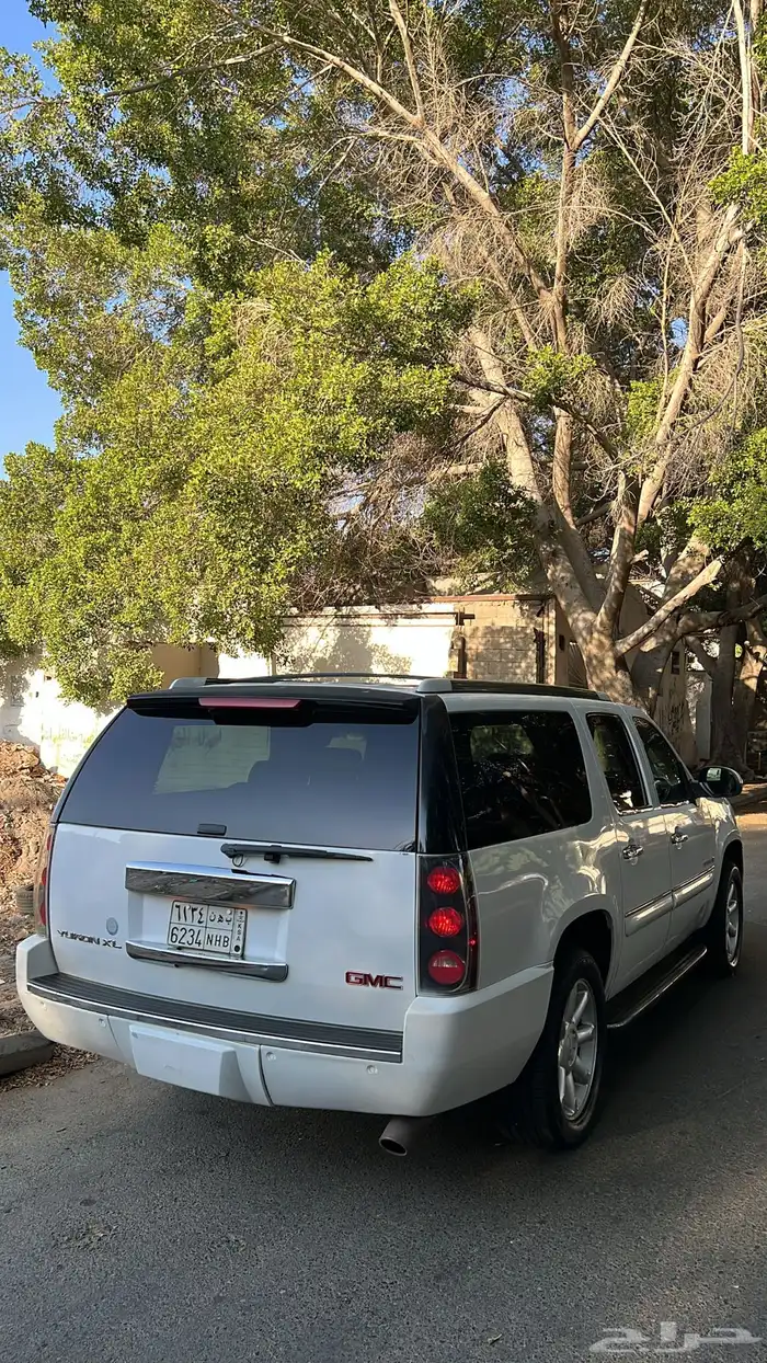 دينالي فل كامل 10