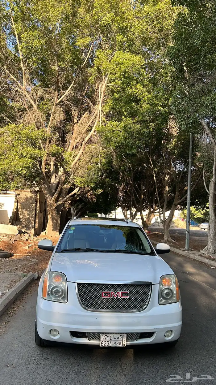 دينالي فل كامل 0