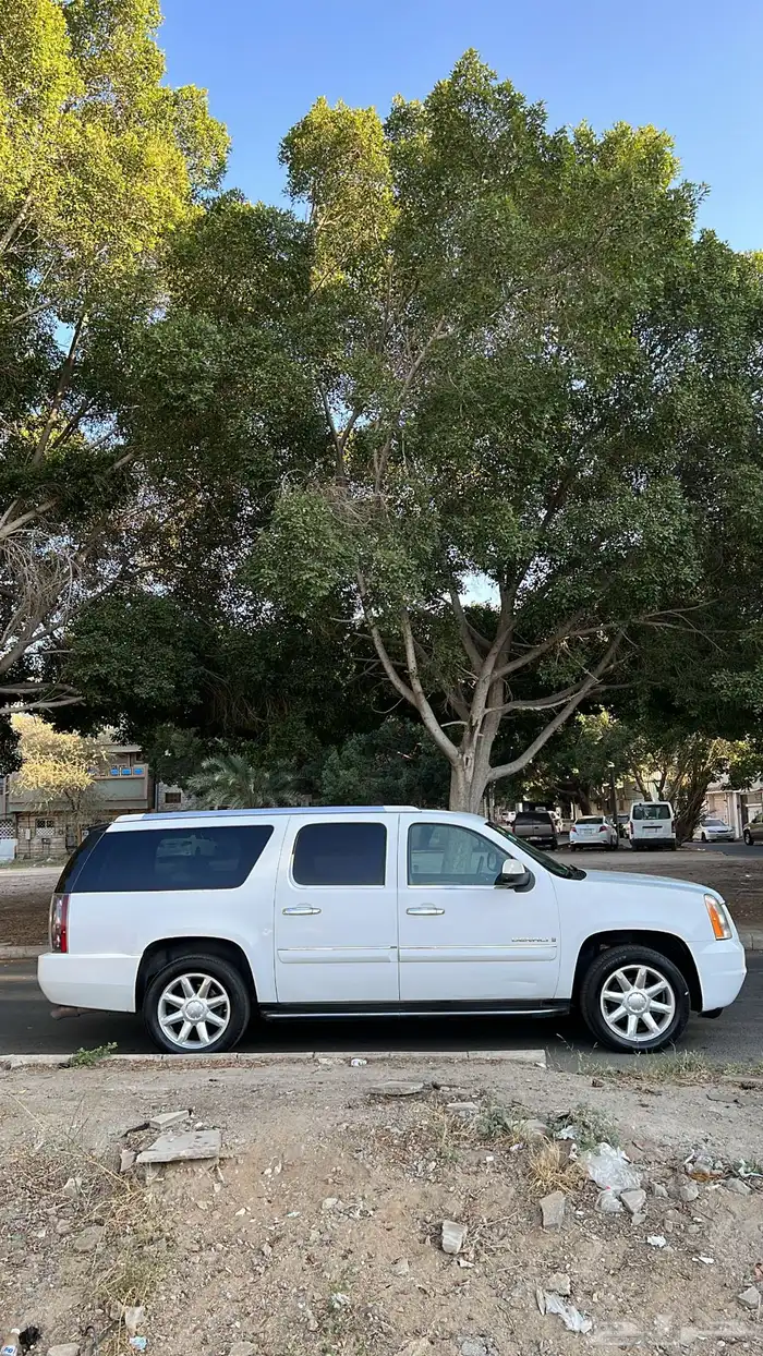 دينالي فل كامل 6