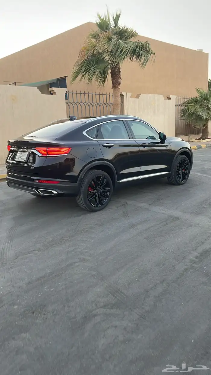 جيلي توجيلا 2022 7