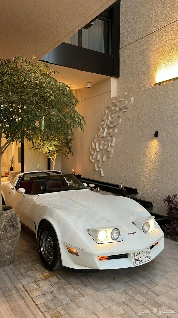 كورفيت c3 للايجار 6