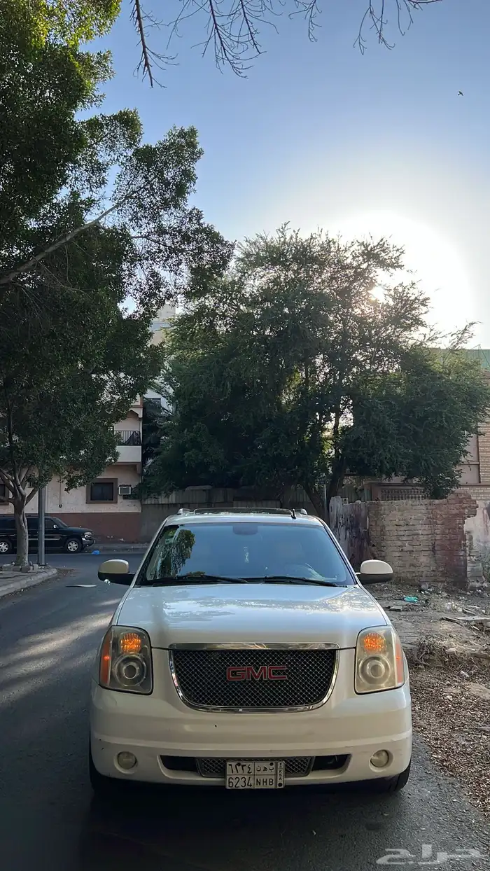 دينالي فل كامل 1