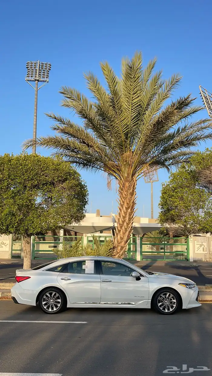 للبيع افلون 2020 8