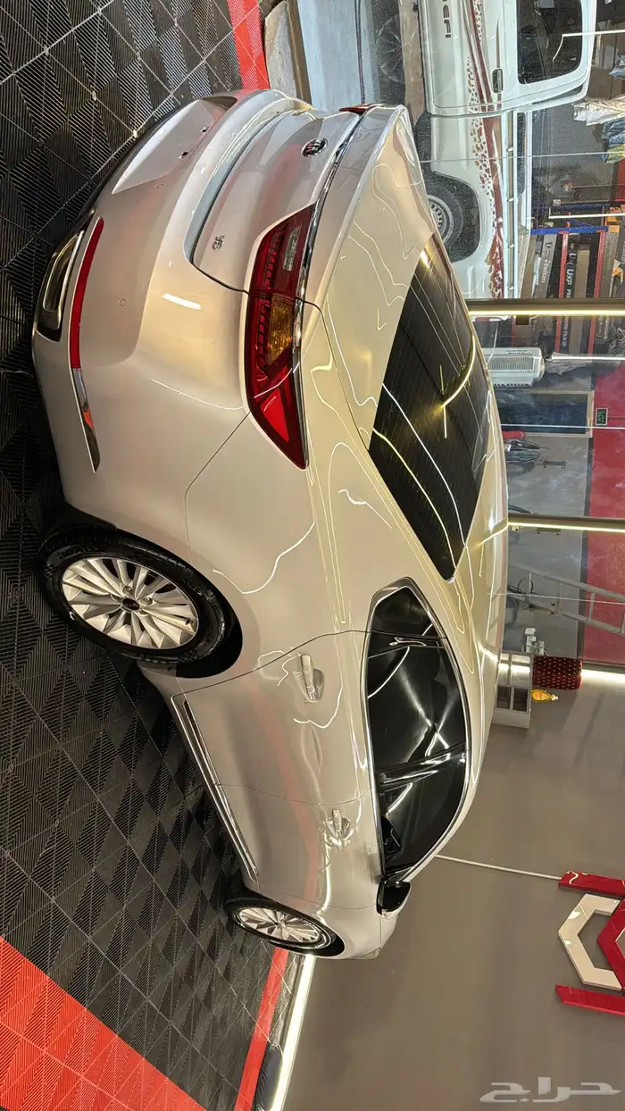 كادينزا فضي 6