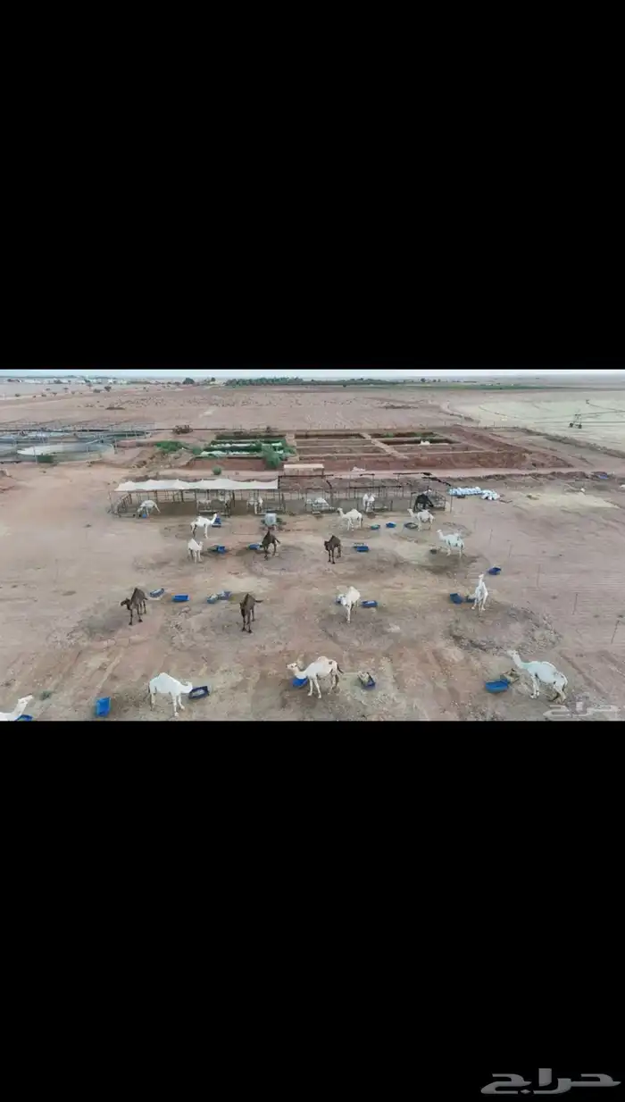 تصوير جوي درون 15