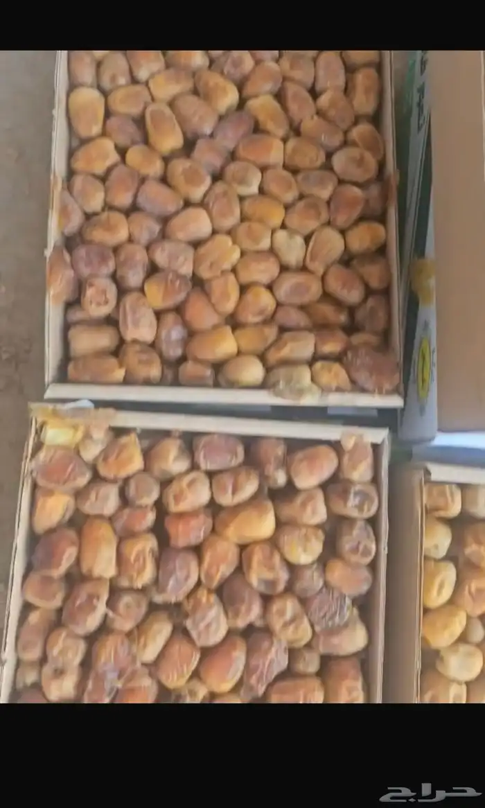 رطب سكري الوزن 3 كيلو العدد حوالي 11000 كرتون 4