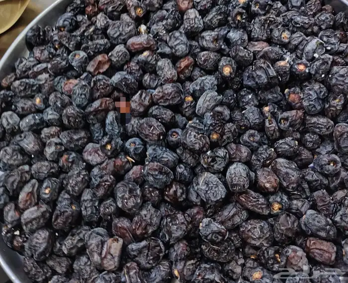 عجوة العاليه 2