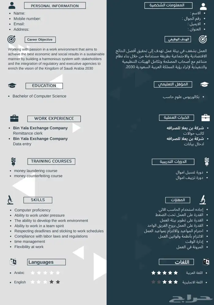 تصميم سيرة ذاتية احترافية CV 13