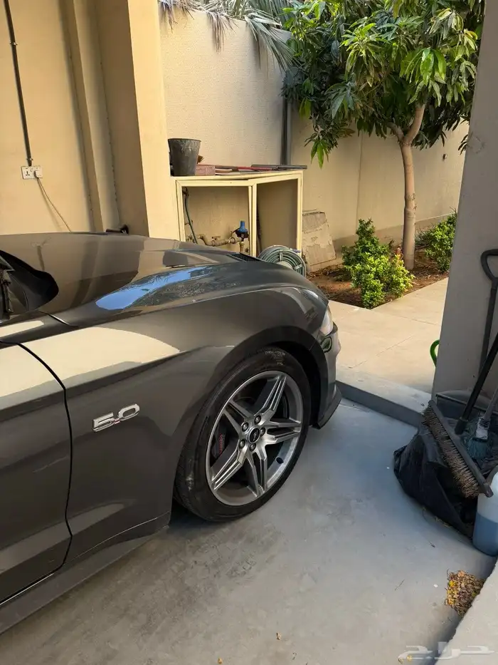 جنوط موستنق بريفورمنس 1