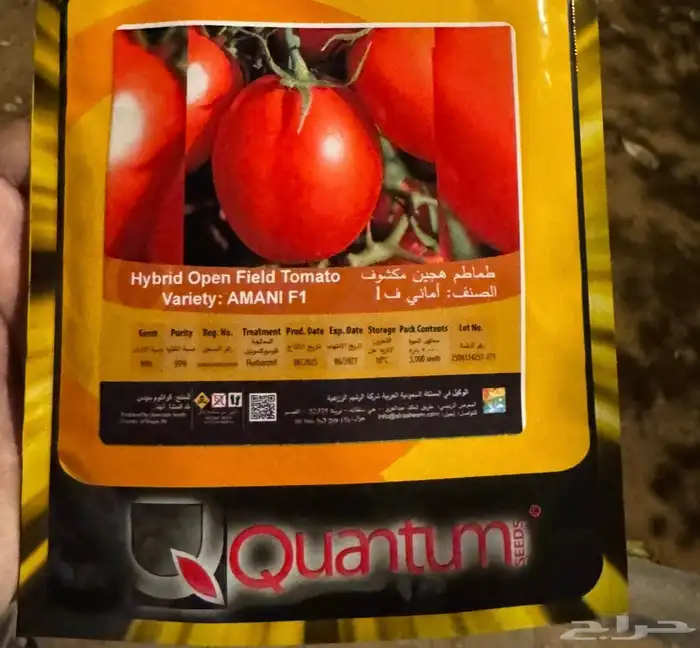 شتلات طماطم وفلفل حار وباذنجان اسود 0