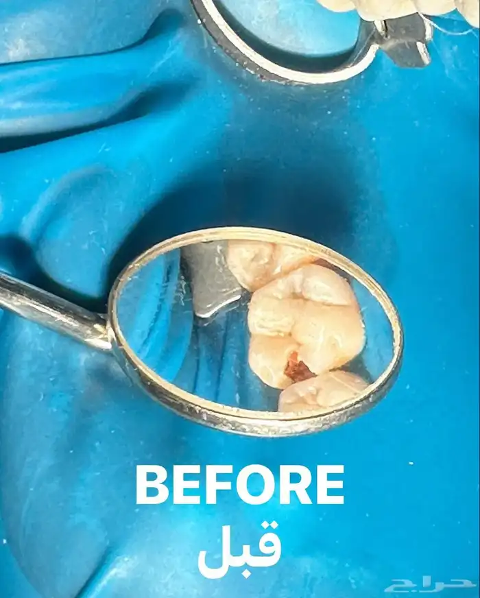 جامعه رياض العلم 4