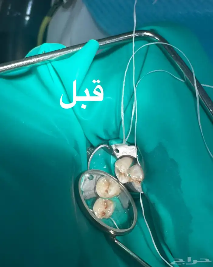 جامعه رياض العلم 3