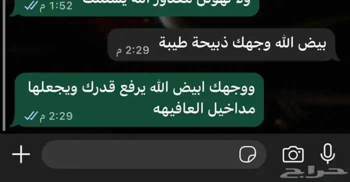 تيوس بيشيه جذعان متوفر خدمة الذبح والتوصيل 1