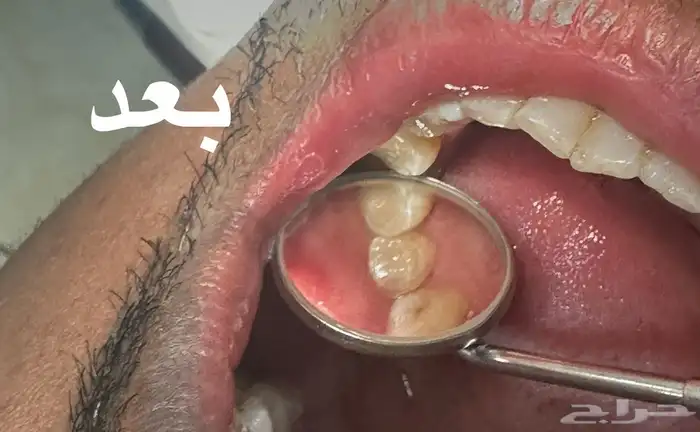 جامعه رياض العلم 2