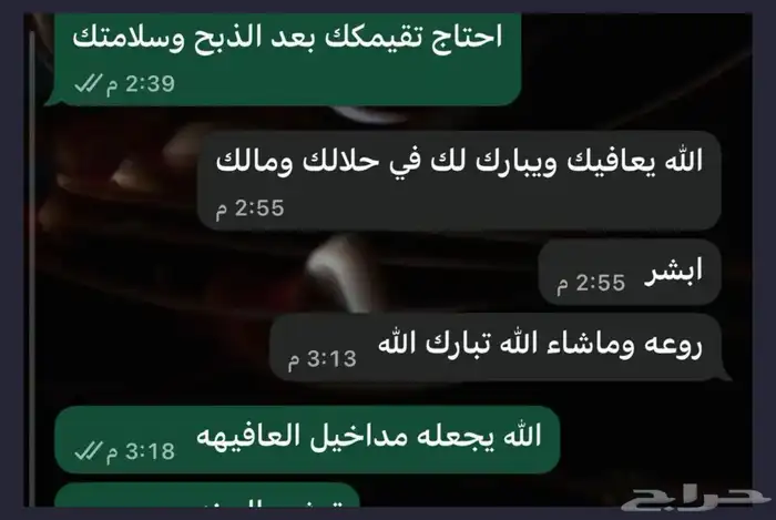 تيوس بيشيه جذعان متوفر خدمة الذبح والتوصيل 2