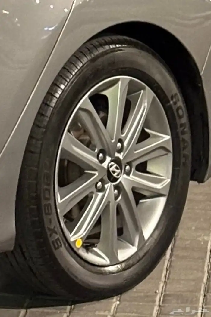 2015 جنوط النترا خليجي للبيع 3