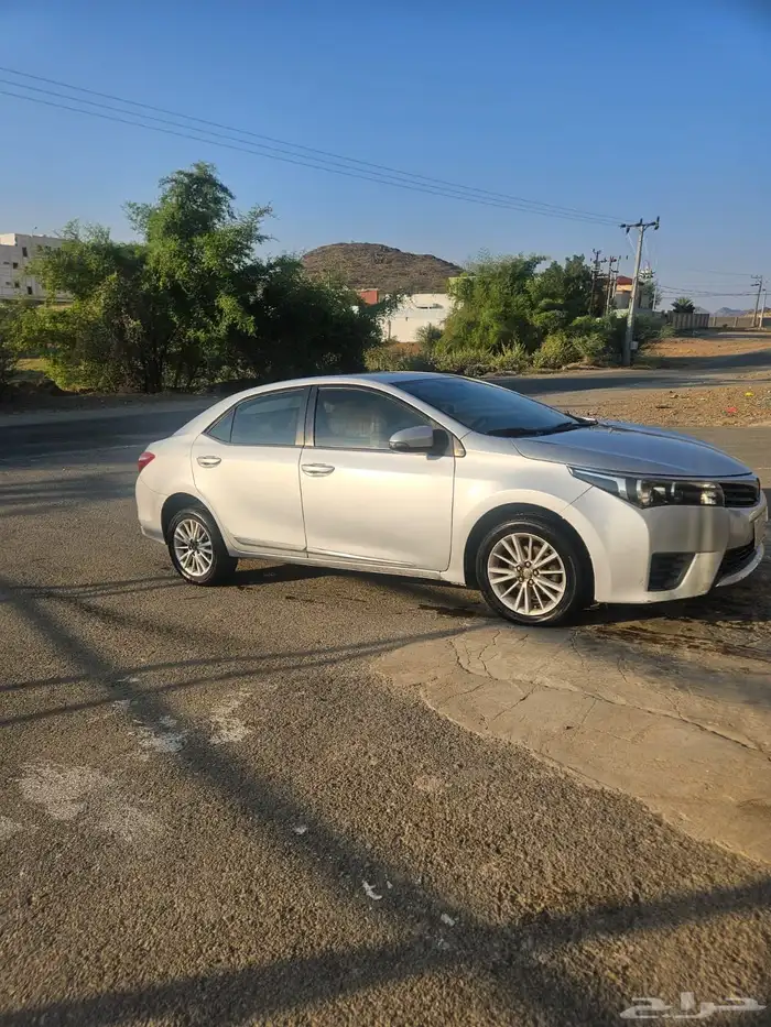 كورلاء 2015 للبيع 1