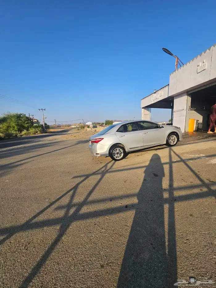 كورلاء 2015 للبيع 5