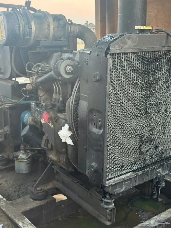 الجبيل جوسمين 0