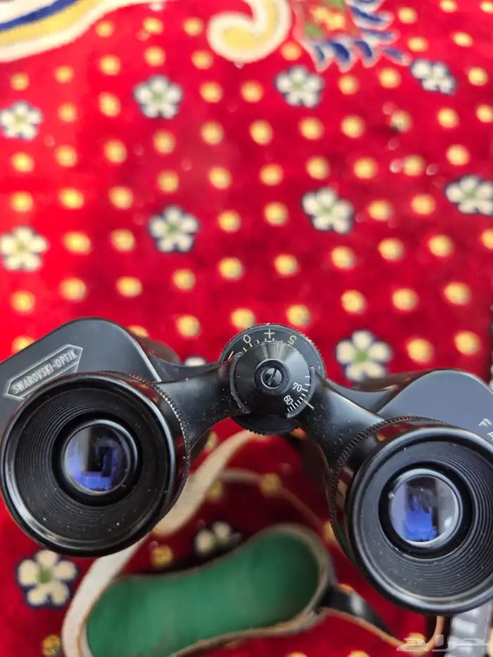 دربيل سوارفسكي 2